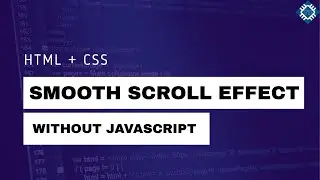 HTML: Smooth Scroll Effect WITHOUT JavaScript | Techy Pizza