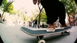 Realm 72mm Fisheye - Wanja Bach line