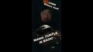Mama Turtle ASMR of Nature Stuff and Things.