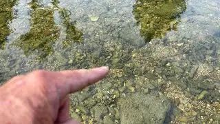 75% Of All Anglers Suck At Fishing Clear Water&hellip;(Let&rsquo;s Fix That)