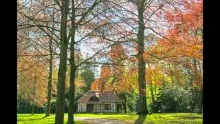 Lente in Wilrijk