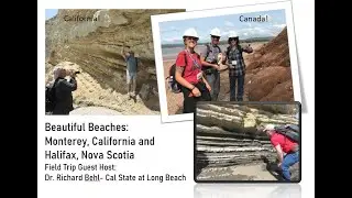 Field Trip Friday: California Malibu Beach Monterey Fm