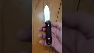 Compact Survival!!! - LT Wright Bushbaby