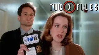 Excelsis Dei - The X-Files (1993) - Season 2 Episode 11 The Truth Behind & Easter Eggs Revealed