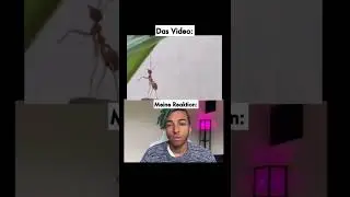 Das traurigste Video der Welt
