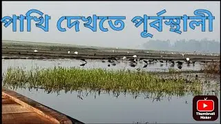 Chupir chor purbasthali bird watching wetland Bird #nature wonder#purbasthali #migratorybirds 