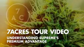 7ACRES Tour Video for Cannabis Investors - Supreme's Premium Advantage