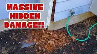 Hidden Moisture and WDI Damage Behind Front Exterior Wall Structure #homeinspection