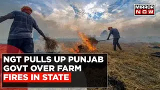 'Who No Improvement?', NGT Pulled Punjab Govt Over Farm Fires; PPCB Counters | English News