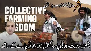 Ashar: The Pashtun Way of Collective Farming & Community Unity | Ancient Wisdom for Modern Times