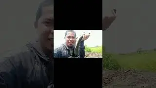 #mancingliar #castinggabus #indonesia #fishing #fishingtrip #mancing #casting