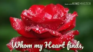 Rose Day Wishes for husband with romantic background music.