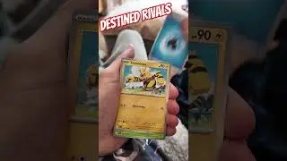#pokemon