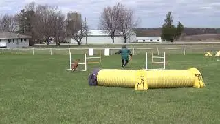 Jane & Echo - Novice Jumpers 1