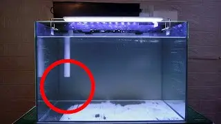 How To Hide The Pump For Top Filter Aquarium