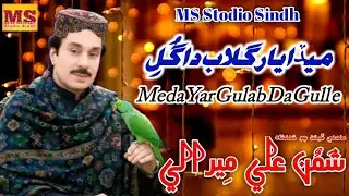 Meda Yar Gulab Da Gull e Shaman Ali Mirali New Sindhi Song official video music lebal MS Stodio 