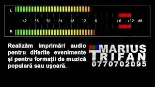 Costel Hornoiu - Mandru-i tata cu feciori & Azi s a dus si mosu meu ( colaj sarba )