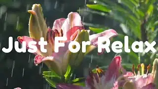 Relaxing Music for Stress Relief | Soothing Music | Just For Relax
