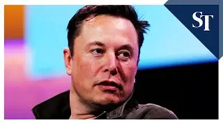 Musk wins defamation trial over 'pedo guy' tweet