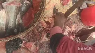 Big katla cuting bokaro।। Deshi fish cutting bokaro।। Deshi machli bokaro 