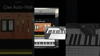 #wahwah #keybordist #nivistudio #musickeyboardlearning #davidg