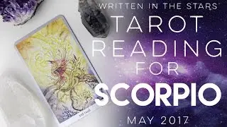 W.I.T.S. Tarot Reading for Scorpio - May 2017