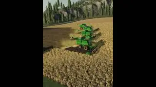 large Fields Harvesting In Fs19 | #fs19 #fs25 #gaming #trending