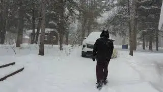 A day in Canadian cottage - Part 3 | Life in freezing Canada| Fun times with golden retriever