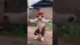 Funny 😄🤣cat dance#❤️ best cat dance#@ VM 3D videos 😍🥰#