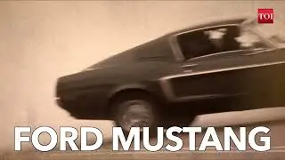Cruisin' Through Culture: The Untold Stories of Mustang and Thunderbird
