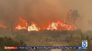 Crews increase containment on 170-square-mile Bobcat Fire in Angeles National Forest