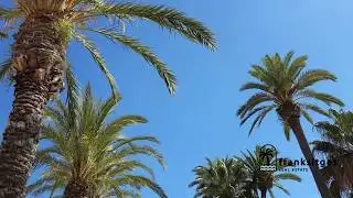 Buy house in sitges - Franksitges.com