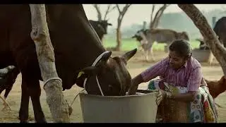 Arokya Film | Optima Response