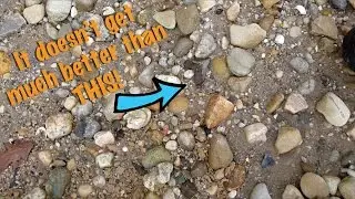 Fossil Hunt DEC 16, 2016: Hunting on the Potomac