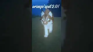 orange'spot 2.0!!! #moon #warriorcats #roblox #wcue #cat #warriors #edit #robloxedit
