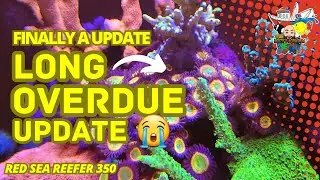 Тайна раскрыта: резкий скачок температуры, модуль MXM и сюрприз в виде рыбы-клоуна в долгожданном обновлении