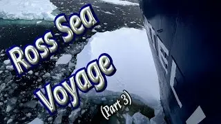 🚢 Voyage to Ross Sea in Deepest Antarctica (Part 3) 🐋