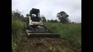 Bundanoon Land clearing very dense grass Serrated tussock