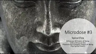 Microdose 3 Spinal Flex & Breathwork to Improve Your Life