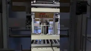 Testing video of automatic bag forming inserting carton box case bag feeding box machine