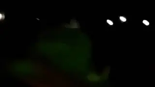 Kermit The Frog - Singing Usher