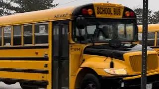 School bus 6