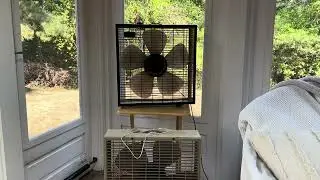 Box Fan Rotation Week 6: Rare Gray Edison Variant & Lakewood P223