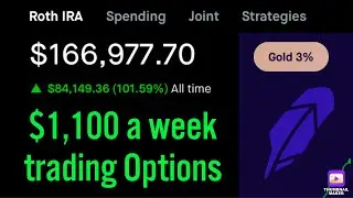 How much my $166,000 Portfolio made in August Trading Options | Portfolio Update