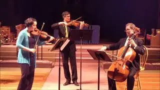Bach Goldberg Variations transcribed for string trio (excerpts)