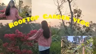 My home feels like Haven 🌷✨ ...#gstu #university #ছাদবাগান  🥹#minivlog #gardening #winter 