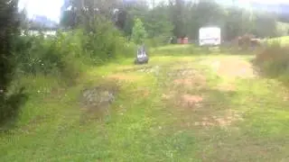 Clint in his buggy
