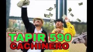 TAPIR 590 CACHINERO - CASA BRAVA TV