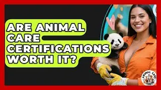 Are Animal Care Certifications Worth It? - Animal Care Jobs