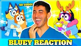Bluey REACTION - BEST KIDS SHOW EVER? Real Doctor REACTS to Bluey | Pediatrician Reacts
